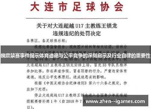 魏震禁赛事件揭示体育道德与公平竞争的深刻启示及行业自律的重要性